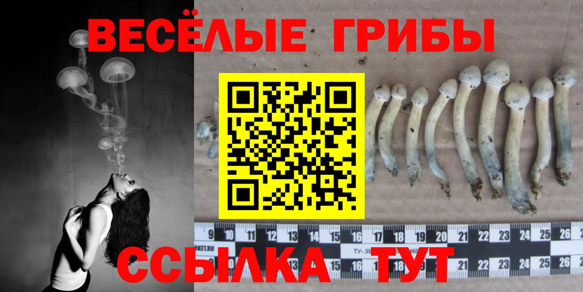 Псилоцибиновые грибы Cubensis Киреевск