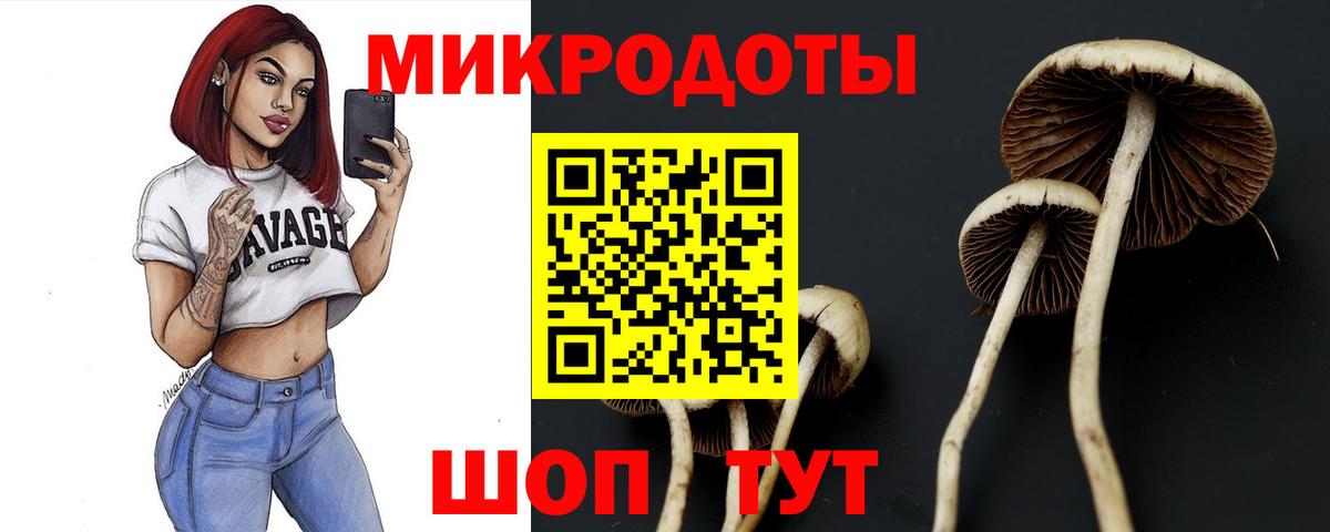 Псилоцибиновые грибы GOLDEN TEACHER  Галлюциногенные грибы мухоморы  наркотики  Вход с VPN  Киреевск 
